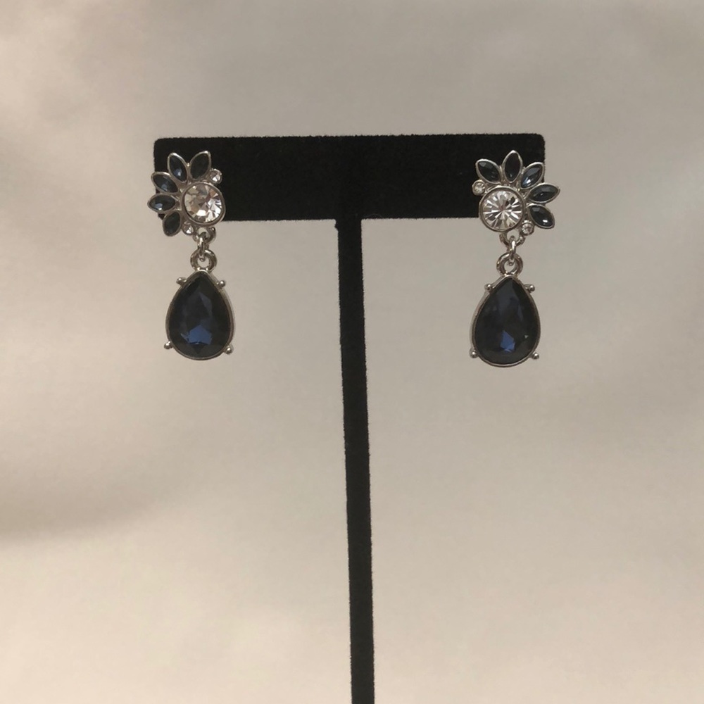 Silver and blue Earrings